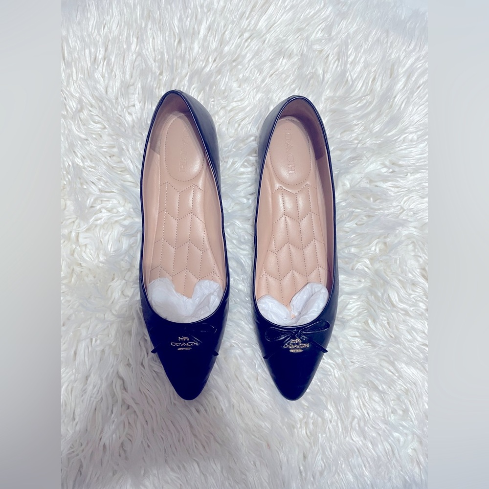 ANNABEL LEATHR BALLE
BLACK
C2911 BLK 11004253JAX
US
UK 8 B
10 B
EUR 40.5B